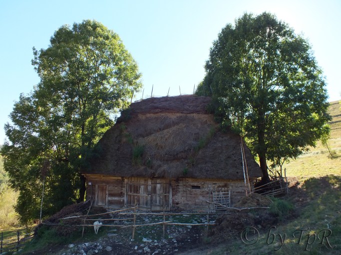 Pe drum spre Vanatare