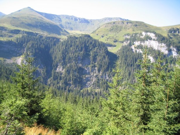 Peisaj in Muntii Rodnei