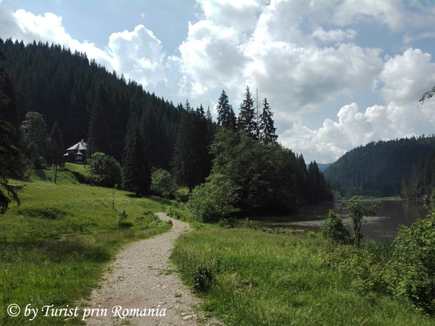 IMG_20180621_110749 copy