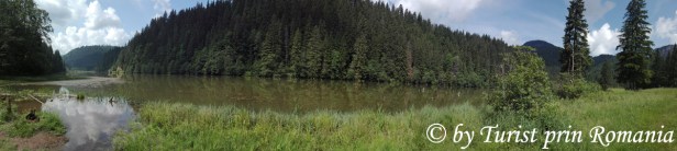 IMG_20180621_110903 copy