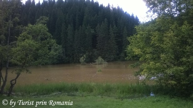 WP_20180701_095 copy