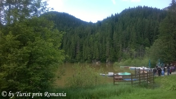 WP_20180701_097 copy