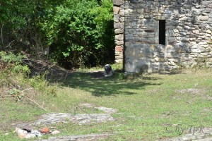 Cetatea de piatra impreuna cu paznicul