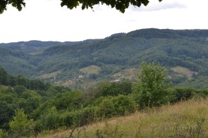 Peisaj de pe drum spre cetatea Chioarului