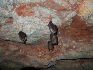 7e209284copyrightRaduHuza