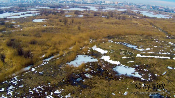 Parcul Natural Vacaresti