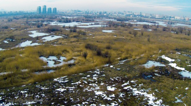 Parcul Natural Vacaresti