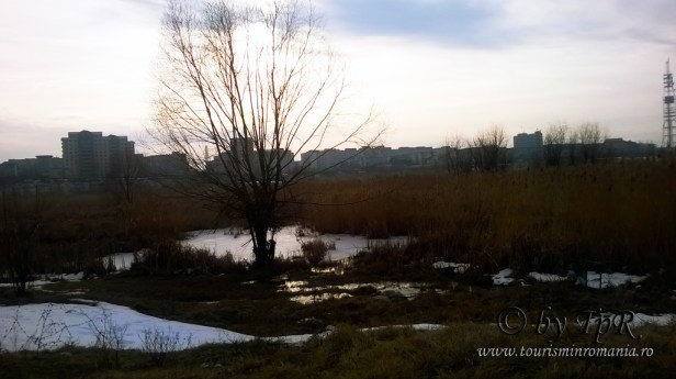 Parcul Natural Vacaresti