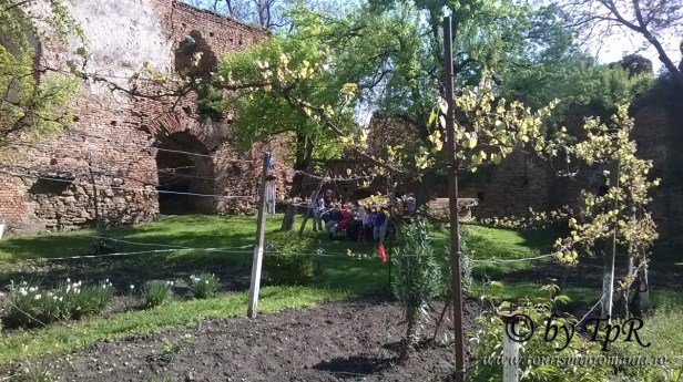 WP_20160421_044 copy