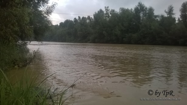 WP_20160802_004 copy