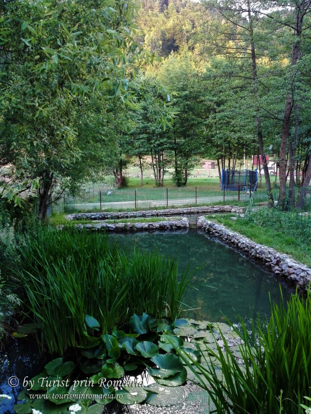 Pensiunea Moara Viselor