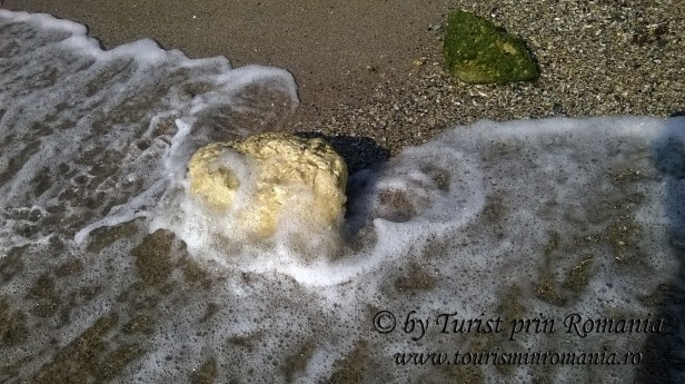 WP_20170810_041 copy