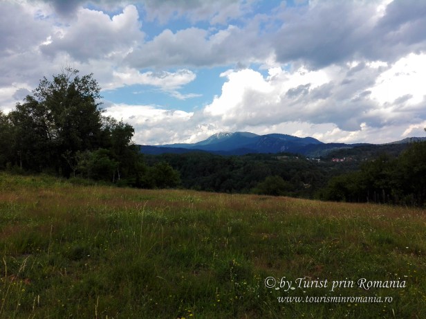 IMG_20170708_171012 copy_brd