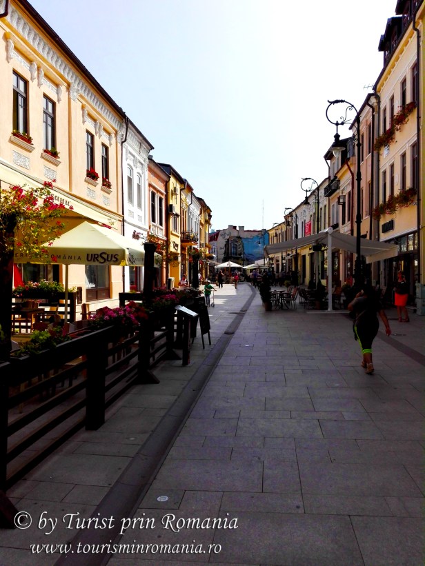 IMG_20170823_110353 copy