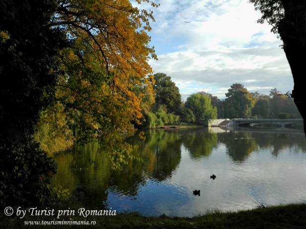 IMG_20171017_071403 copy