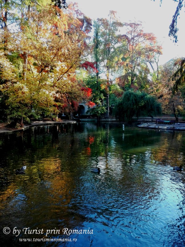 IMG_20171017_100733 copy