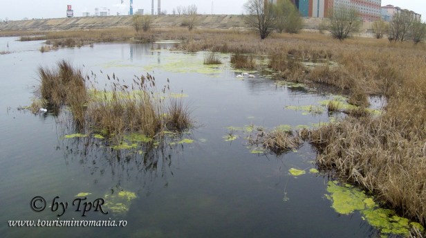 DCIM100GOPROG0022549.