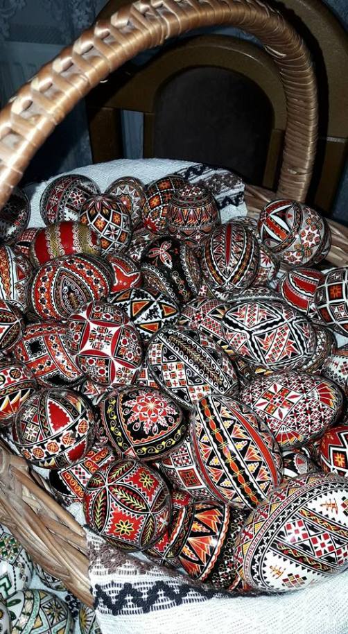 29067351_770792116447408_1805034455107108864_n