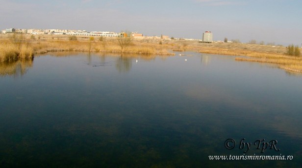 DCIM100GOPROG0052301.