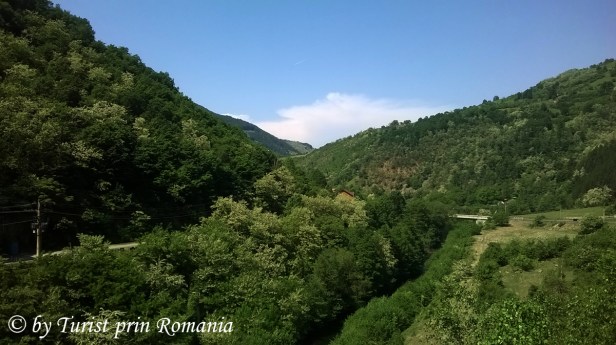 WP_20180506_003 copy