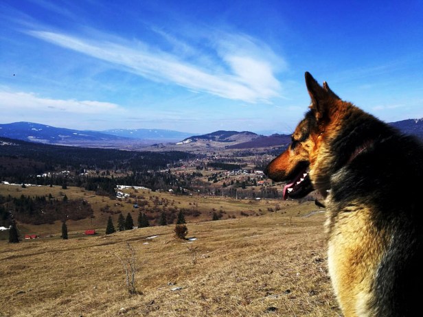 IMG-28af9d08e4dc017e769c08b47c953604-V copy