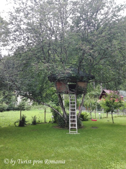 IMG_20180709_131101 copy