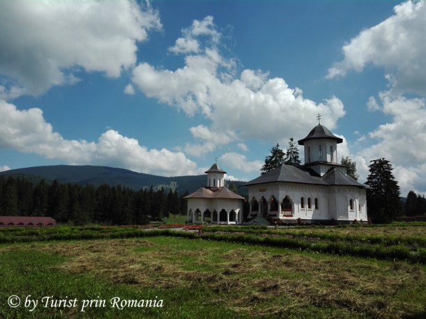 IMG_20180619_110752 copy