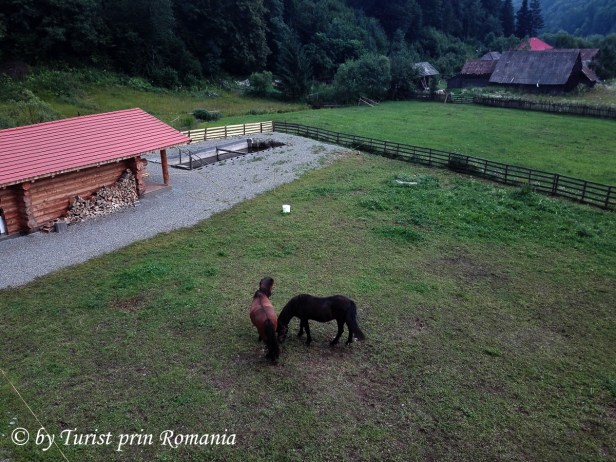 IMG_20180723_182839 copy