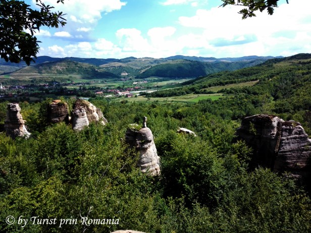 IMG_20180727_150108 copy