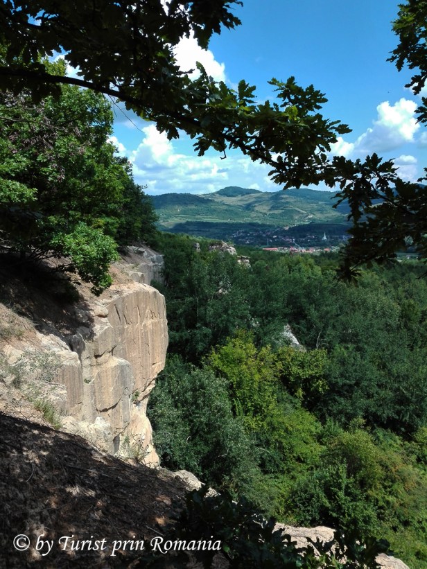 IMG_20180727_150531 copy