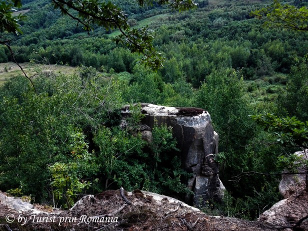 IMG_20180727_153318 copy