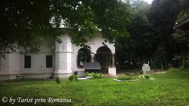 WP_20180719_093 copy