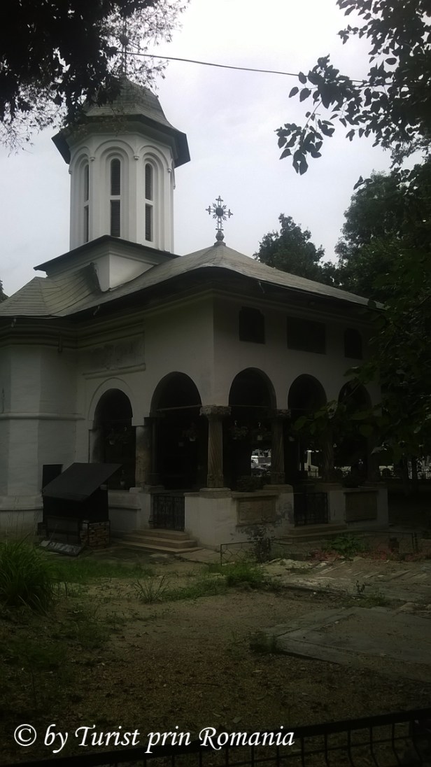 WP_20180719_104 copy