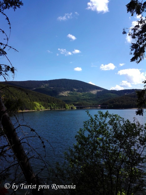 IMG_20180503_151620 copy