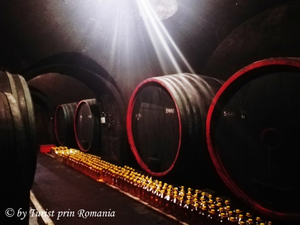 IMG_20180906_140656 copy