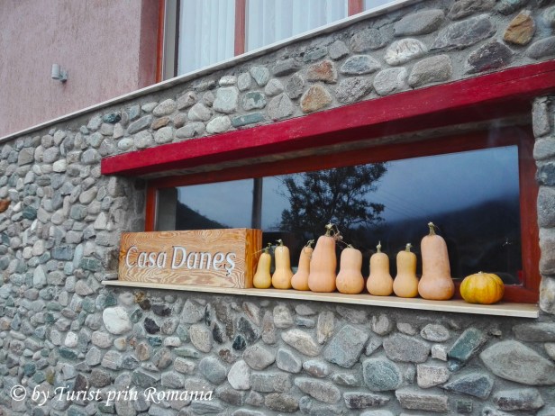 IMG_20181002_080737 copy