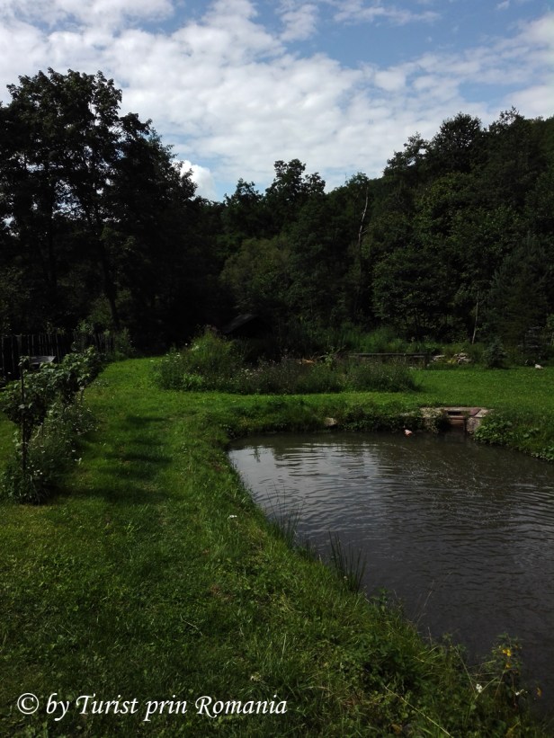 img_20180711_160015 copy