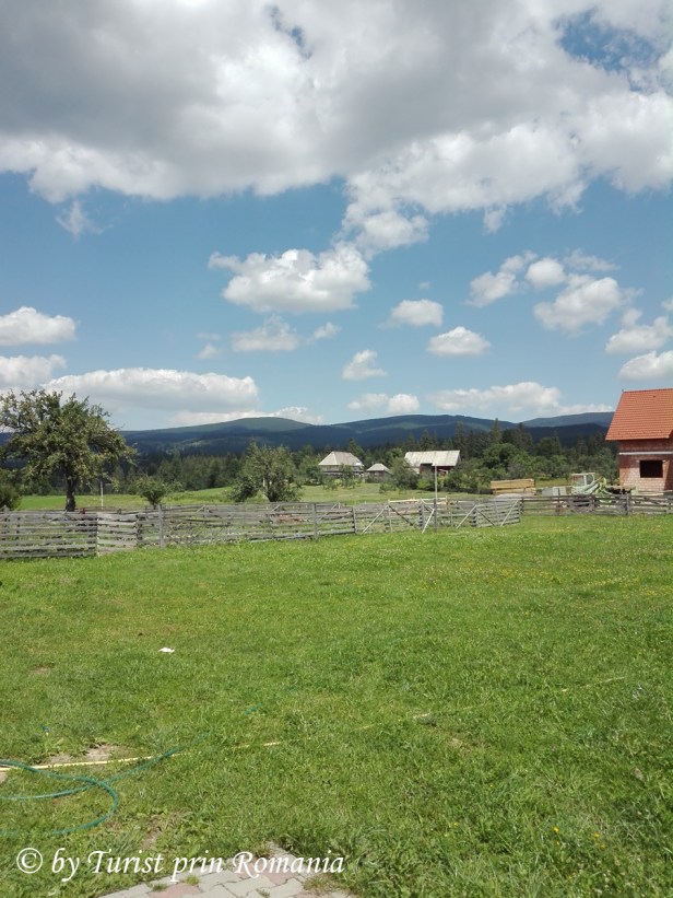 img_20180803_133122 copy