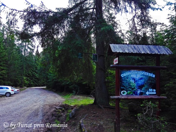 IMG_20180712_125128 copy