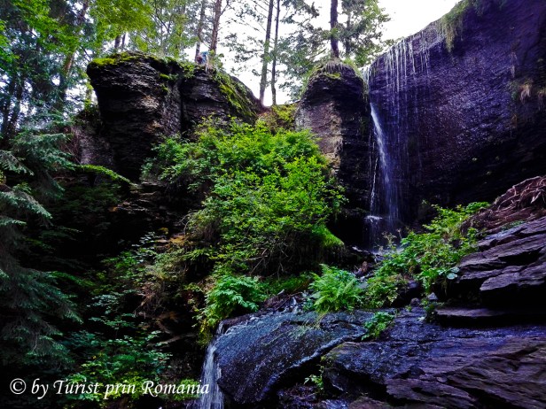 IMG_20180712_125732 copy