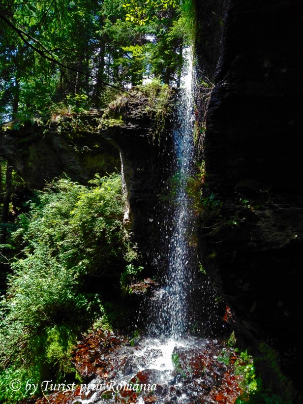 IMG_20180712_130445 copy