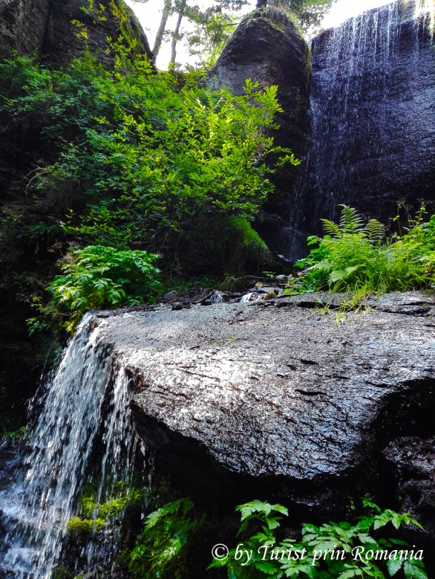 IMG_20180722_152749 copy