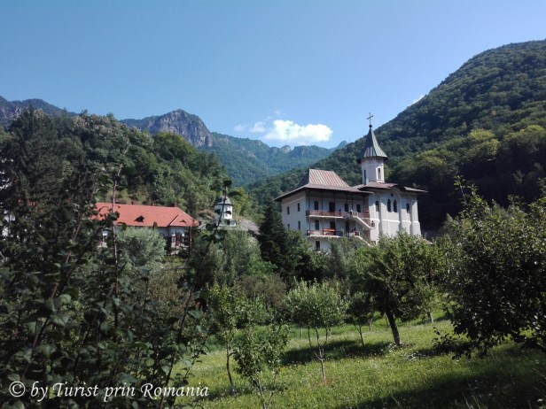 IMG_20180813_103319 copy