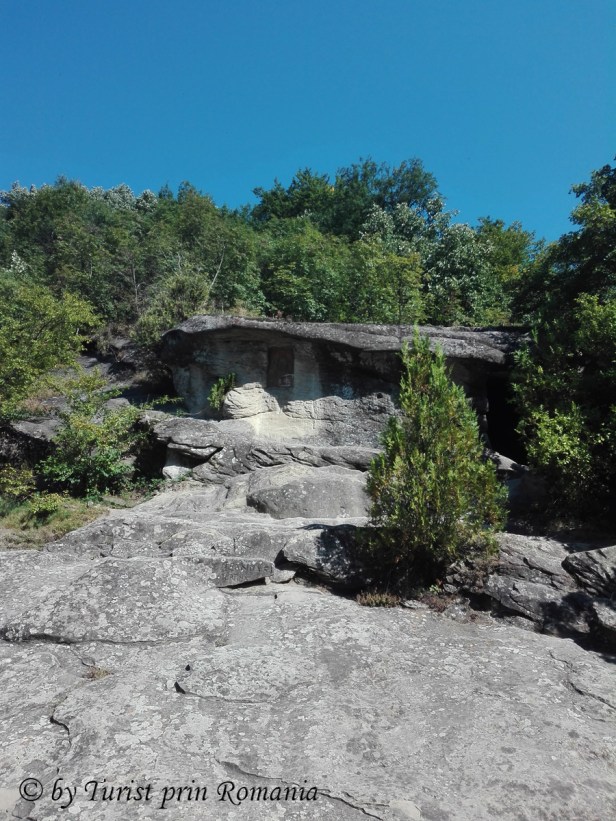 IMG_20180813_103751 copy