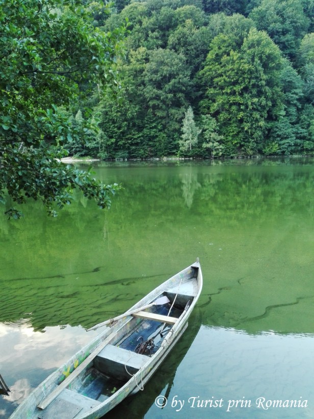 IMG_20180813_194350 copy