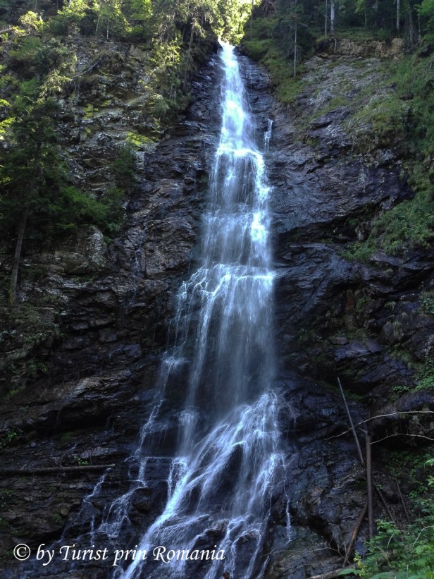 IMG_20180814_123923 copy