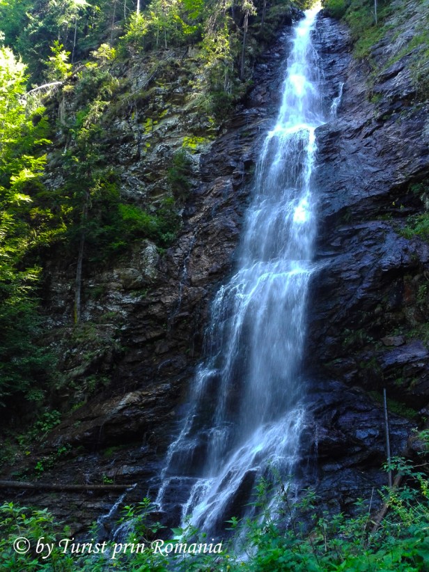 IMG_20180814_124017 copy