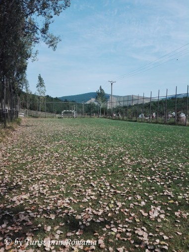 IMG_20180831_140444 copy