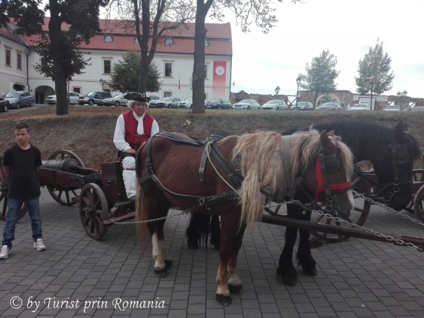 IMG_20180916_115601 copy