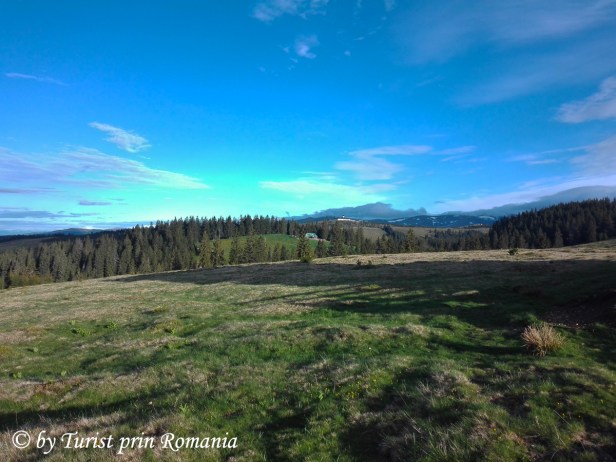 IMG_20190525_071029 copy